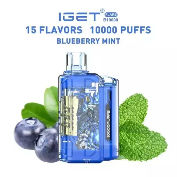 Iget Flare B10000 – Blueberry Mint - Buy Authentic Vape in Agra - Vape Shop Agra
