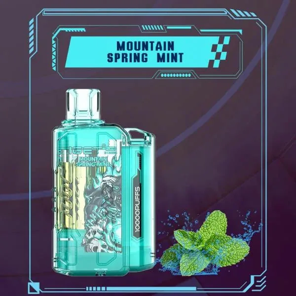 Iget Flare B10000 – Mountain Spring Mint - Buy Authentic Vape in Agra - Vape Shop Agra